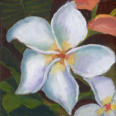 Kauai Plumeria by Terry Lockman