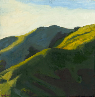 Last Light on the Hills by Terry Lockman