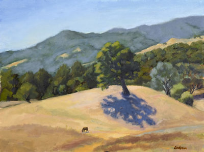 Morning Shadows, Chimney Rock Road by Terry Lockman