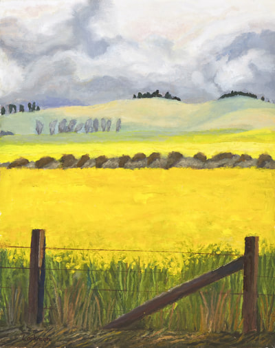 Mustard West of Petaluma by Terry Lockman