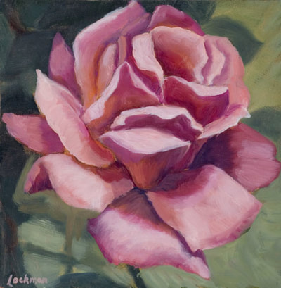 Pink Rose II by Terry Lockman