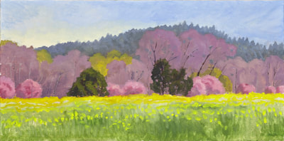 Spring Colors West of Healdsburg  by Terry Lockman