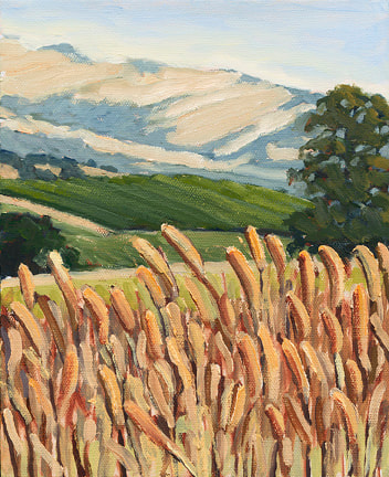Summer Grasses, Napa by Terry Lockman